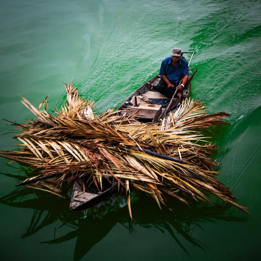 Vietnam